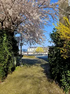 Chris 04 - Lente